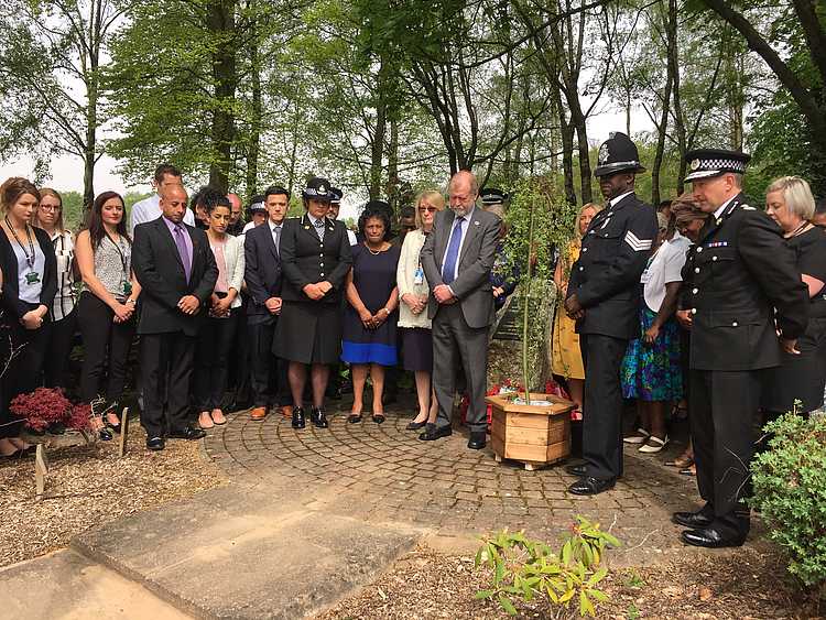 Tree Planted To Commemorate Stephen Lawrence Day